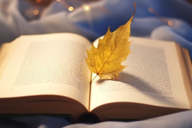 2023陕西高考理科585可以上什么大学